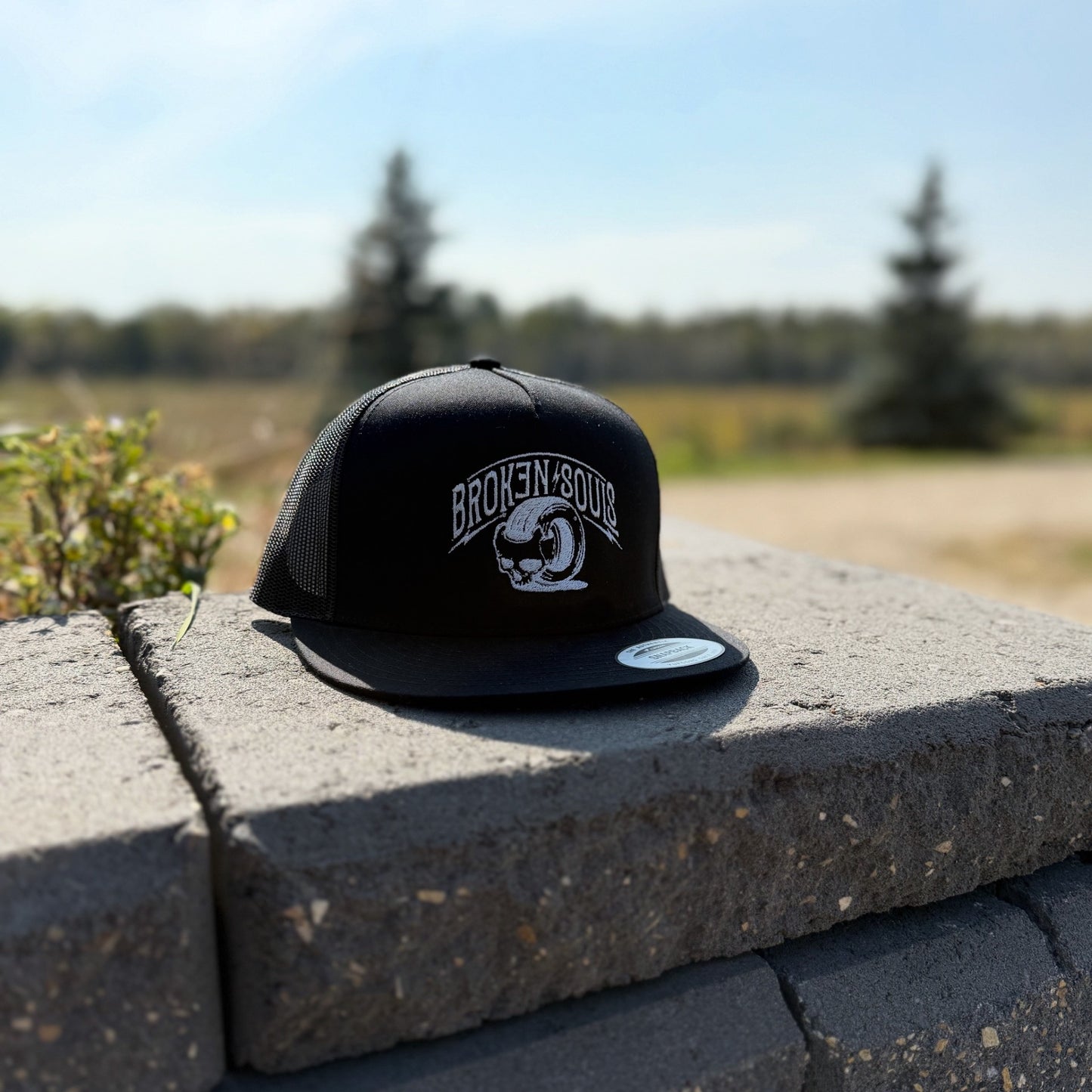 MESH BACK YP6006 SKULL DESIGN